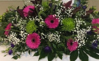 Gerbera and Blooms