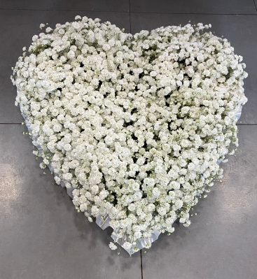 Gypsophila Based Heart