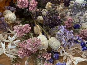 Dried Flowers