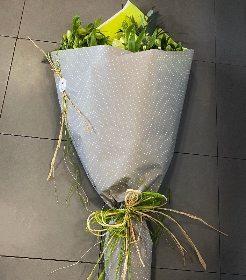 Eco Wrap