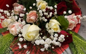 12 Mix Roses