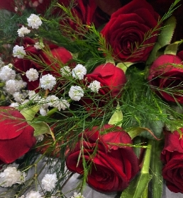 12 Red Roses