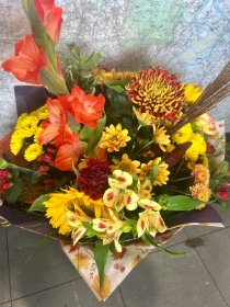 Autumnal Bright